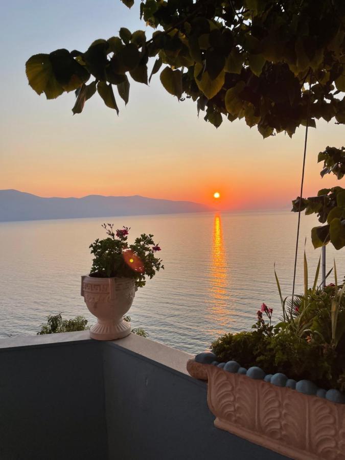 Vila Pashaj Vlorë Exteriér fotografie