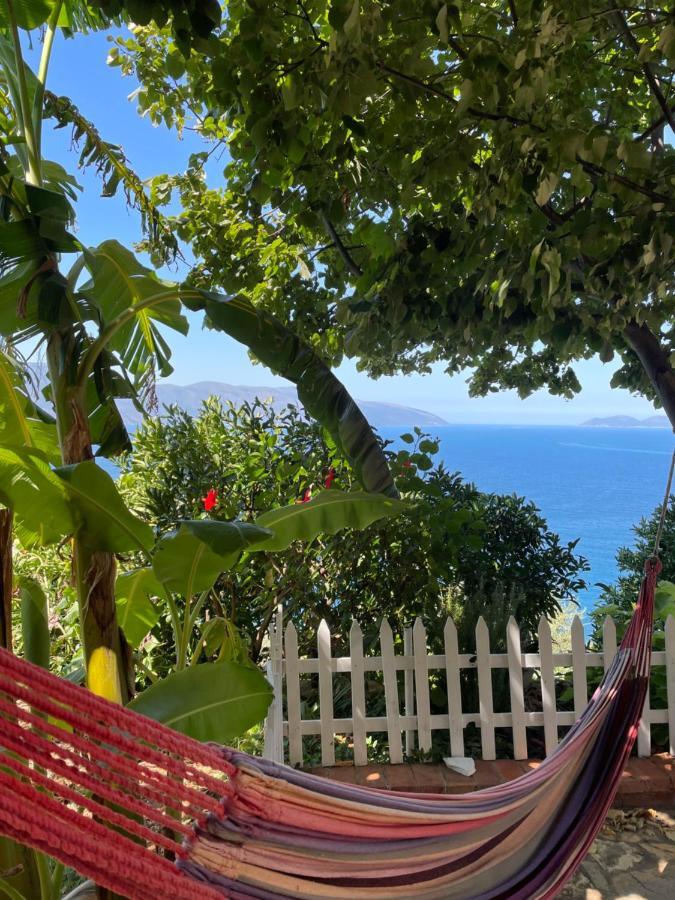 Vila Pashaj Vlorë Exteriér fotografie